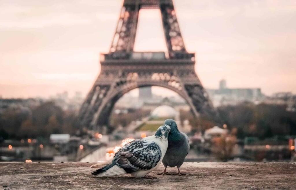 paris