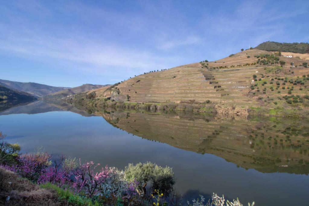 Douro-1024x683 5 destinos para uma roadtrip em Portugal