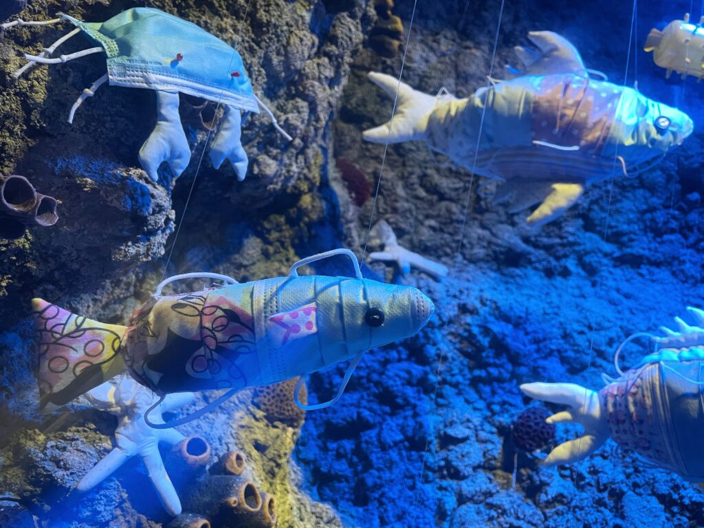 SEA LIFE Porto