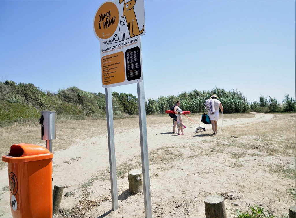 praia-de-esposende- 6 praias pet friendly em Portugal