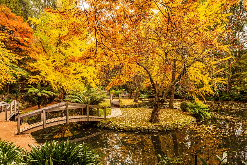 Australia_0 10 lugares no mundo com as cores de outono mais exuberantes