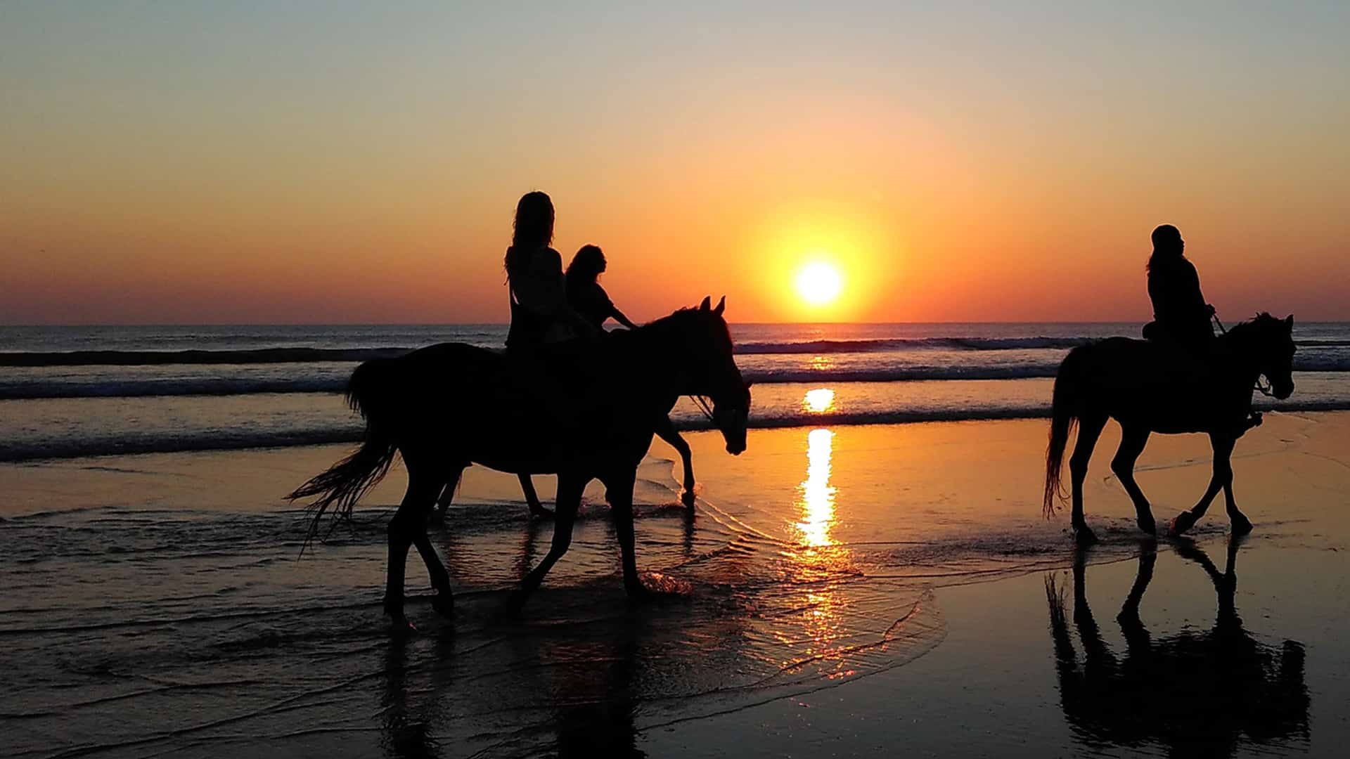 Sheraton Cascais lança programa para os amantes de hipismo