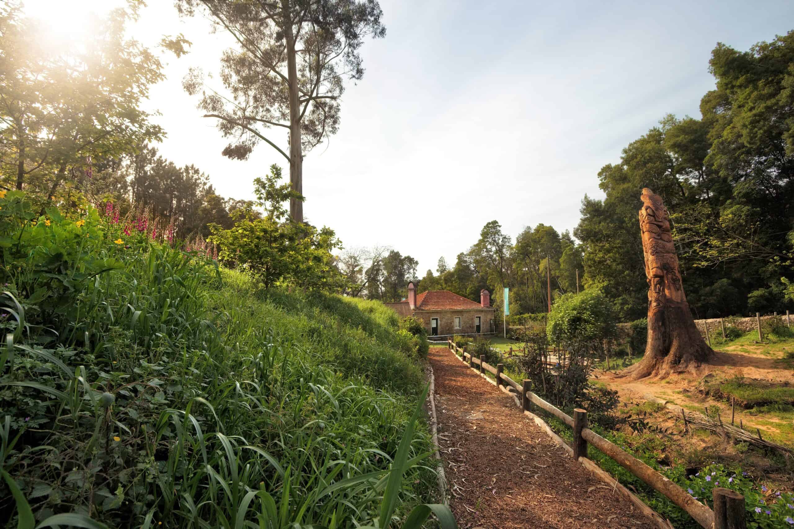 Parques de Sintra estreia novas atividades no Dia Mundial da Criança e oferece sessões gratuitas