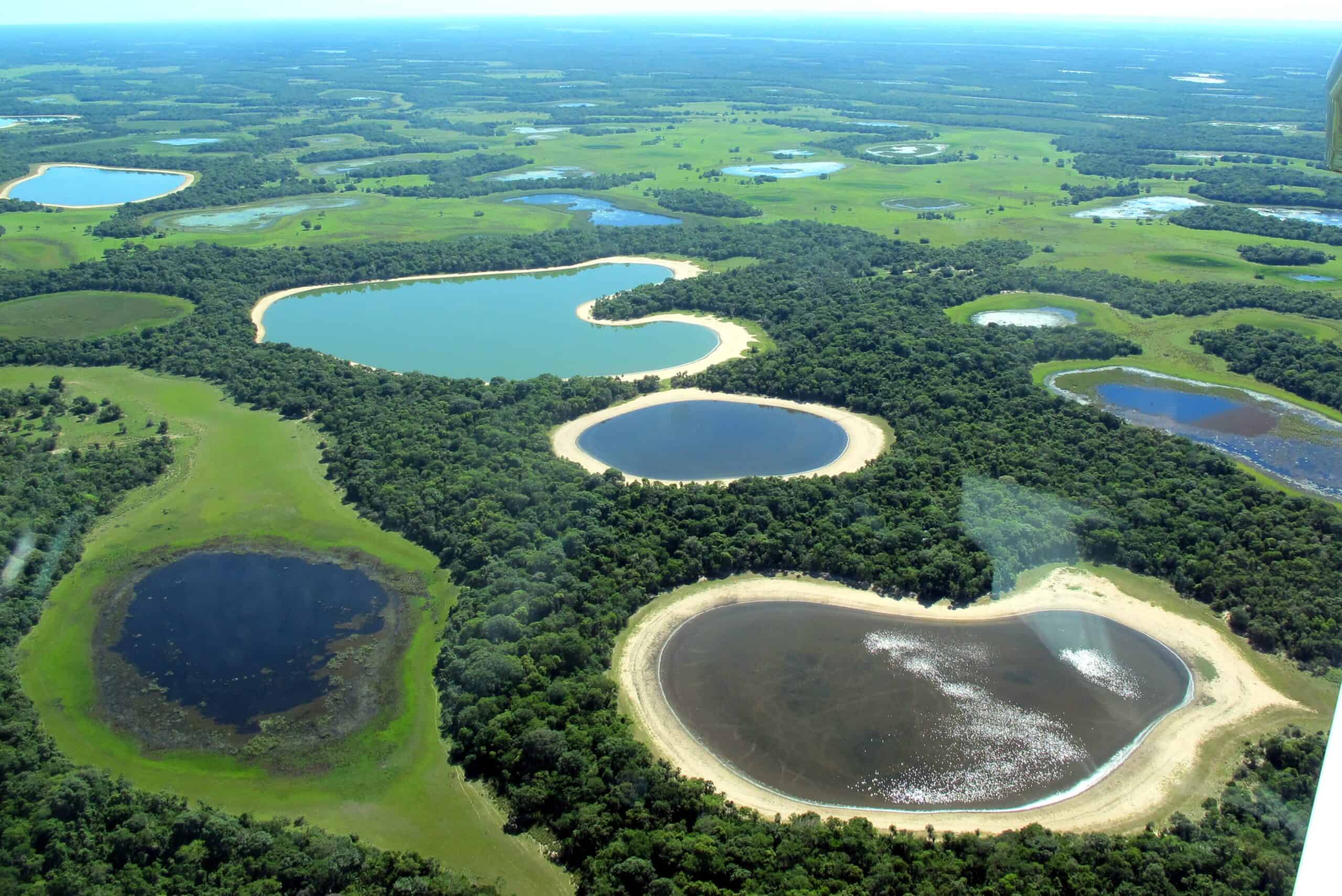 O Brasil não é só praia. Visite o Pantanal e explore a maior concentração de vida selvagem da América
