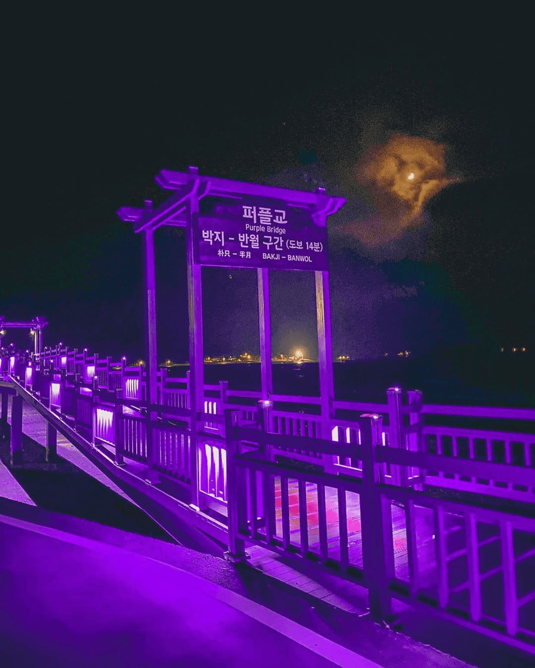 Purple-island-in-South-Korea-1-min Conheça as Purple Islands, onde o roxo nunca passa de moda