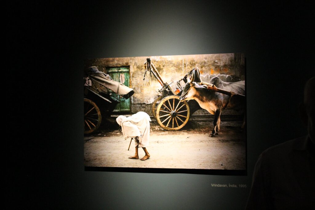 IMG_2315-1024x683 Visitámos a exposição de Steve McCurry e confirmamos: Estão lá as fotografias mais icónicas da sua carreira