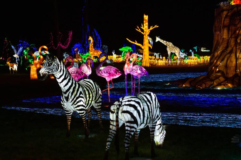 festival-luzes-selvagens-1024x682 Zoo Santo Inácio: Festival Luzes Selvagens arranca este sábado no Porto