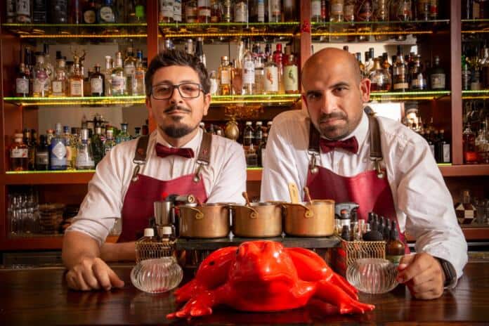Red Frog-