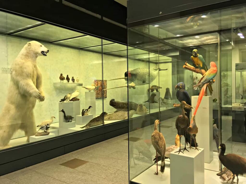 Zoological-Museum_mini-d874116b4679-1024x768 13 atividades e visitas gratuitas em Zurique (uma das cidades mais caras do mundo)