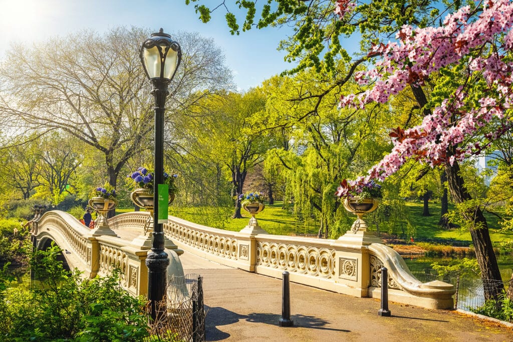 Central-Park-New-York-1024x683 É apaixonado pela primavera? Conheça os 6 parques mais bonitos do mundo para aproveitar a estação