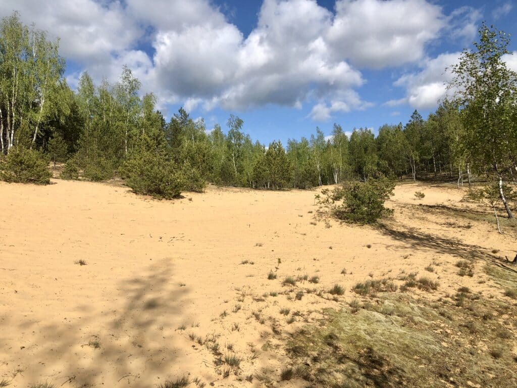 Marcinkoniu-Geomorphological-Reserve_Neringa-Sutkaityte-1024x768 Redescobrindo a natureza primaveril da Lituânia: 5 trilhos imperdíveis para explorar em 2023