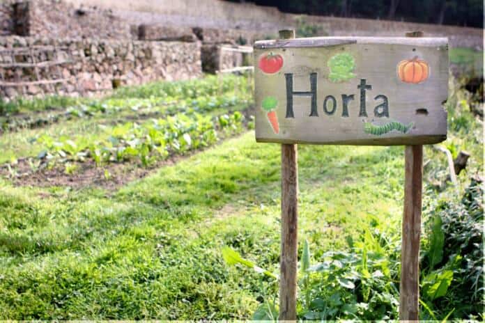 01_Horta_Quintinha_de_Monserrate_creditos_PSML_EMIGUS