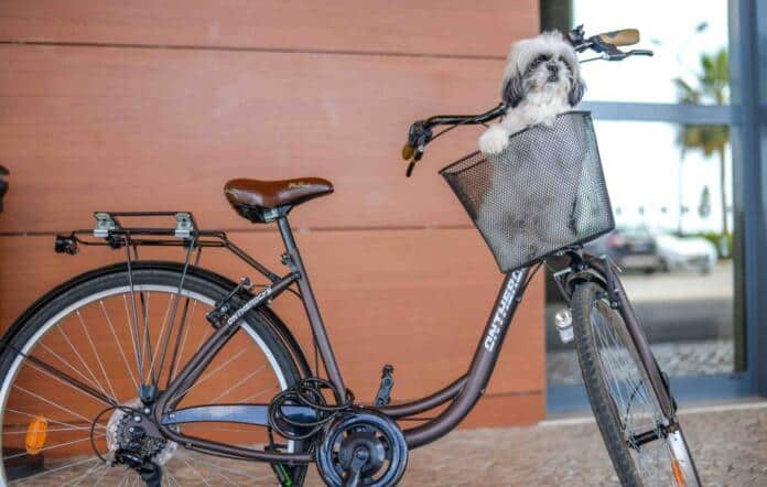 Real Marina_Pet Friendly_1