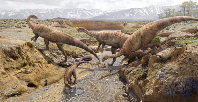 Plateosaurus_Bergen