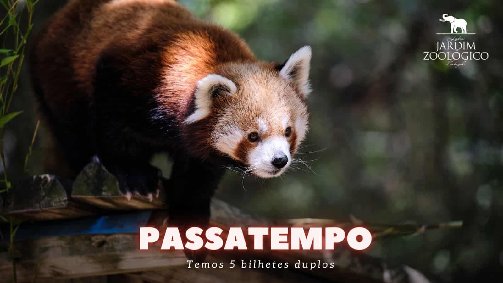 Passatempo Instagram. Vamos oferecer mais 5 bilhetes duplos para o Jardim Zoológico