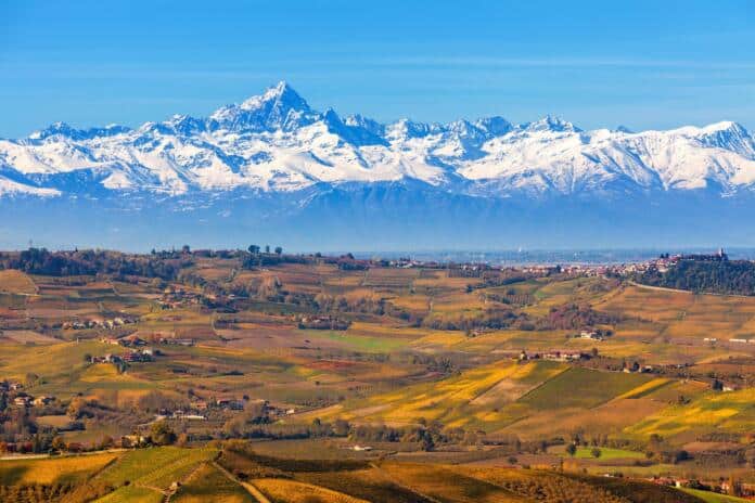 9456057ad8b5110d128b4c3ac77f3520-piedmont