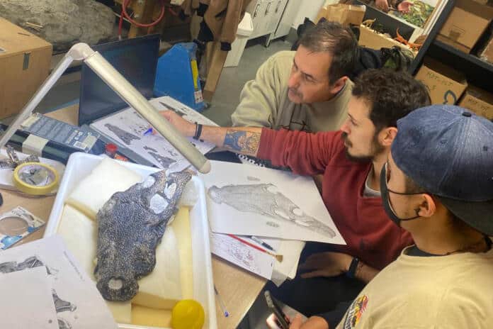 Ophiussasuchus investigacao