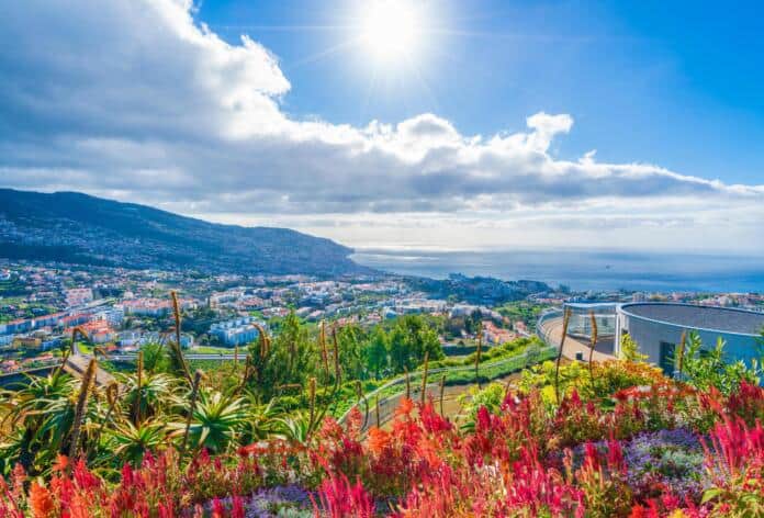 Site Tnews Funchal, Madeira