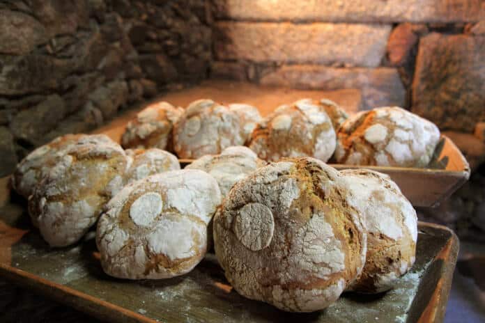 Este concurso vai distinguir o melhor pão de Portugal em cinco categorias.