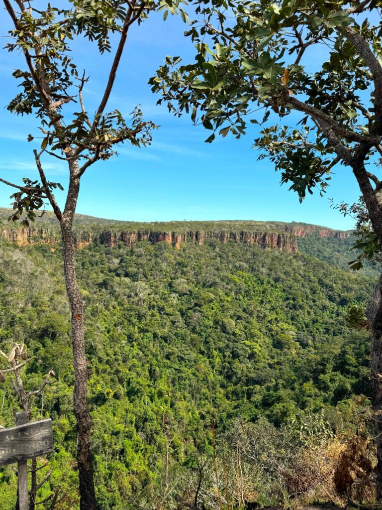 8-768x1024 Viagem pelo Pantanal: Um desvio obrigatório pela Chapada dos Guimarães, no Mato Grosso (Parte 1)