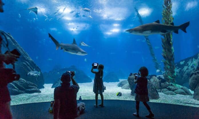 Oceanário de Lisboa