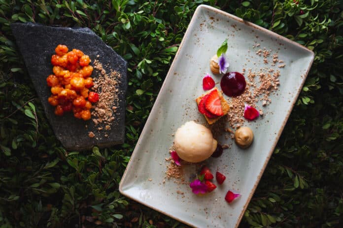 Finland_Rovaniemi_Arctic Restaurant_White_Chocolate_Cake_and_Cloudberry Sorbet_HaveSomeFinnish