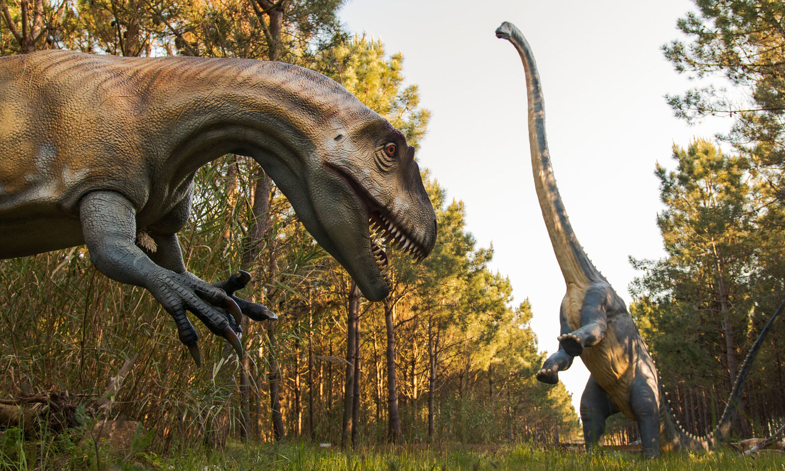 No Dino Parque pode ser paleontólogo por uma semana e preparar fósseis com milhões de anos