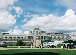 Novo museu em Copenhaga vai esconder 14 milhões de objetos debaixo do Jardim Botânico