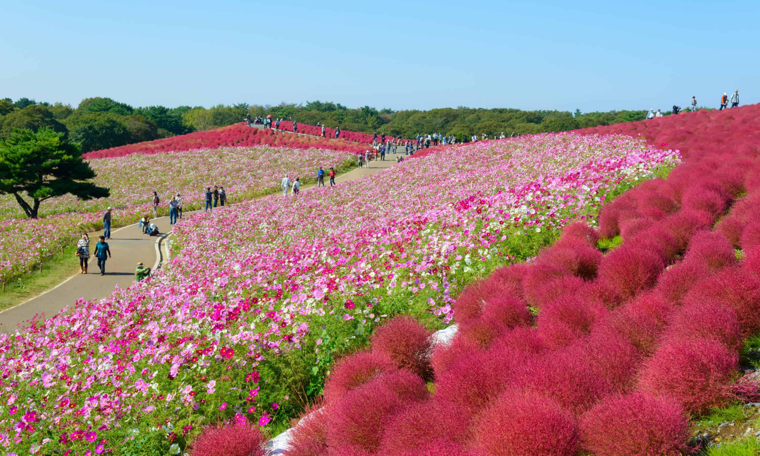 Japão tem um novo trilho de 350 quilómetros que passa por cascatas, praias e aldeias tradicionais
