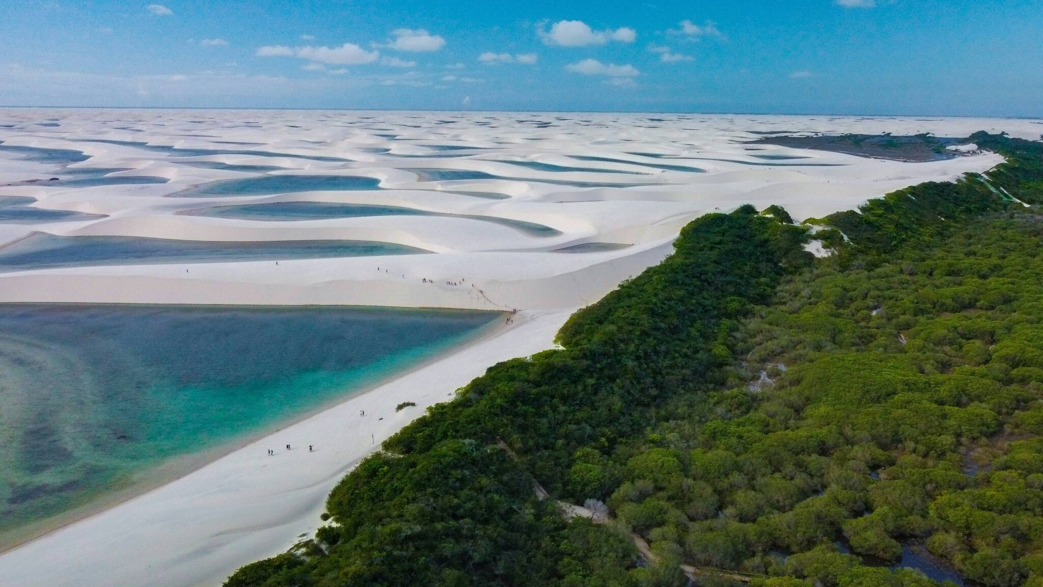 TAP tem um novo destino no nordeste do Brasil e os bilhetes de ida e volta começam nos 705€