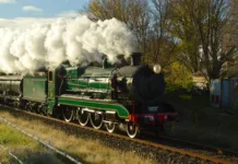 Comboio a vapor com mais de 100 anos vai levar passageiros numa aventura medieval até Tomar